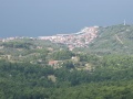 Podgora