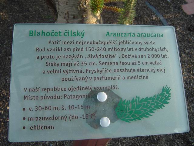 info strom Blahocet