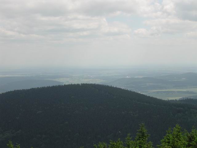 vyhled