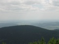 vyhled