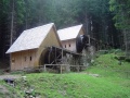 Zlatorudne mlyny