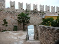Novigrad