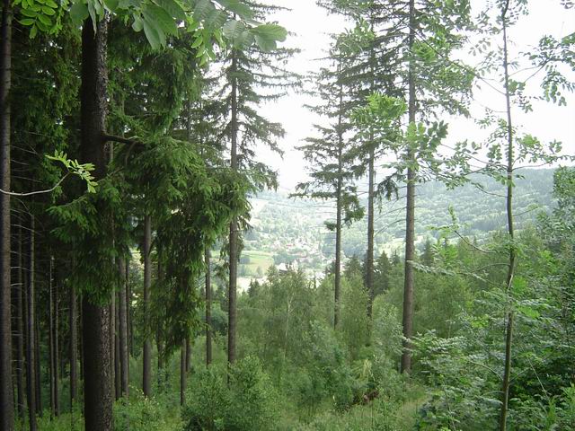 stoupame nad Petrovicemi (obraceny pohled)