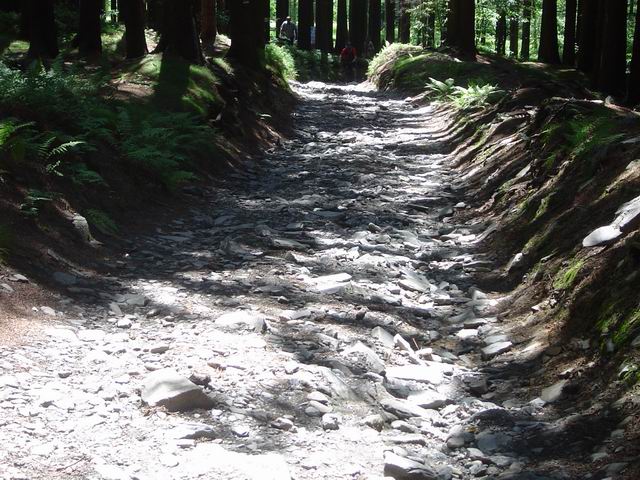 cesta z rozhledny