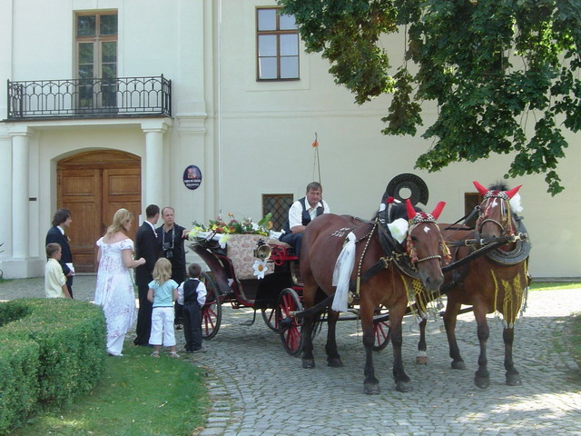 kocar Litultovice
