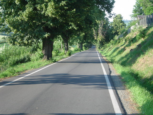 klesame z vrchu Cvilin (od rozhledny a zamku)