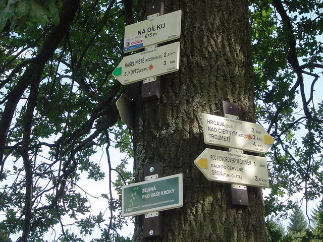 rozcestnk Na Dlku 675 m.n.m.