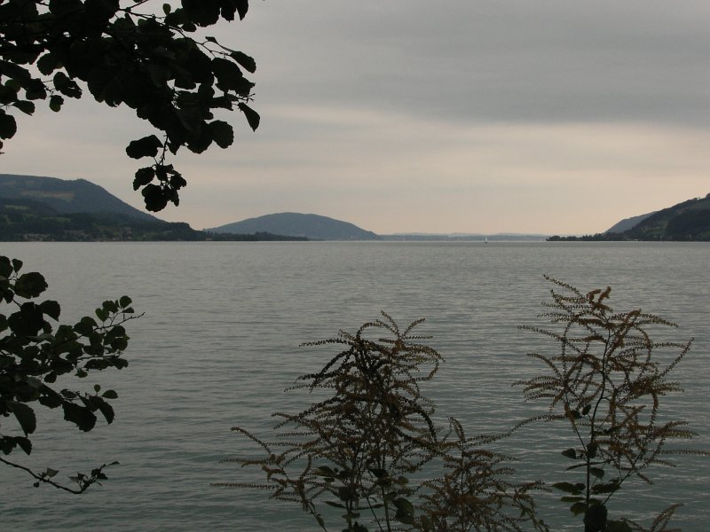 jezero Attersee